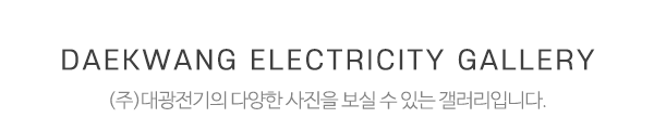 (주)대광전기__